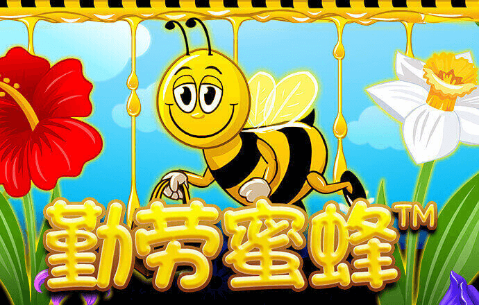 355cc娱乐彩票官网